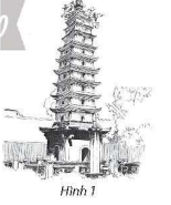 Hình minh họa câu hỏi